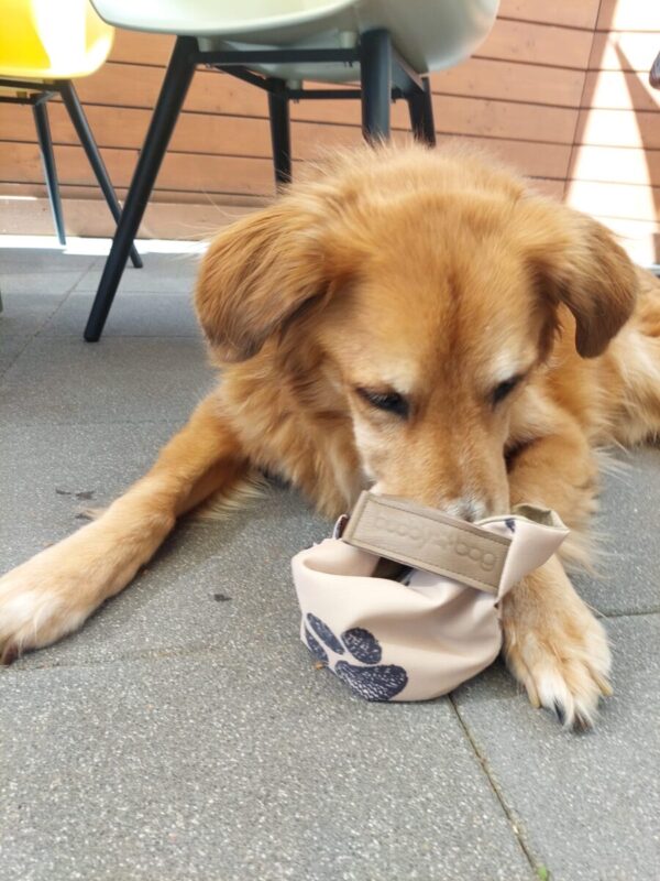 Buddybag – Bild 6